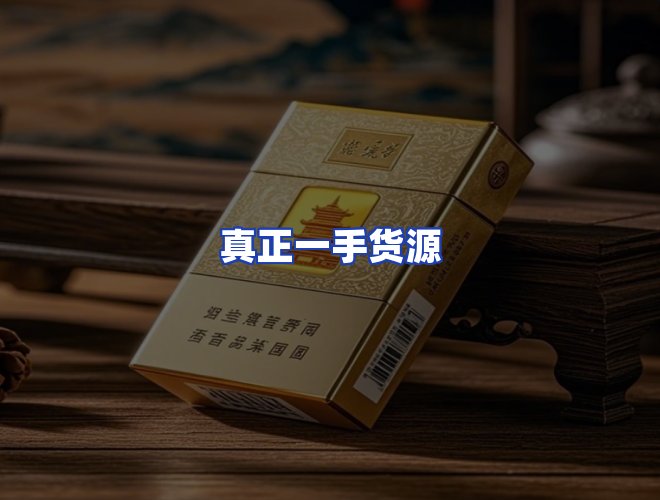 专业团队